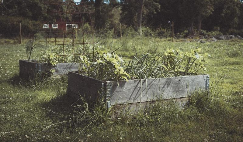 Folk Och Fae Hotel Grisslehamn Kültér fotó