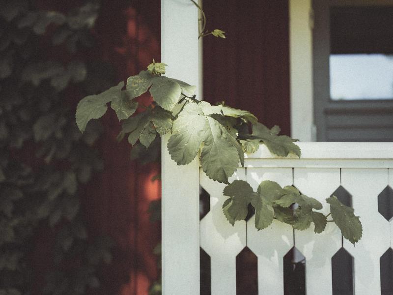 Folk Och Fae Hotel Grisslehamn Kültér fotó